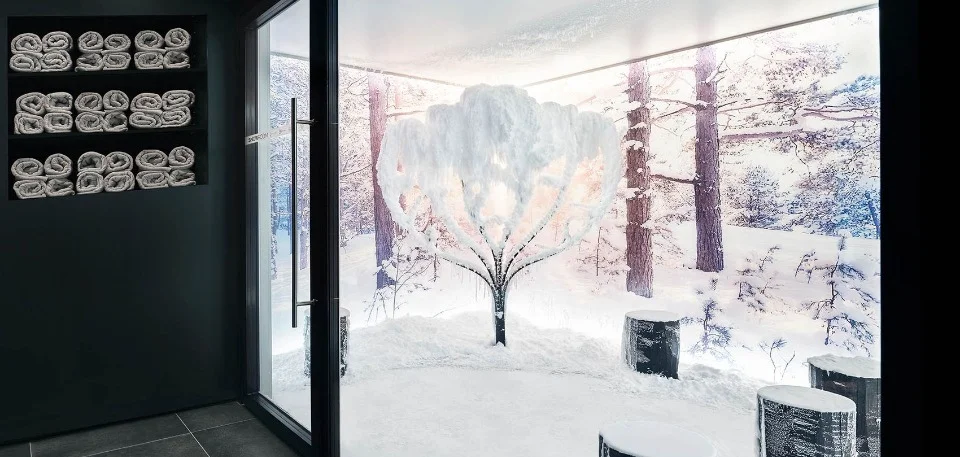 Schneeraum mit verschneitem Baum, Winterwald-Wandbild und Sitzstümpfen hinter Glastür